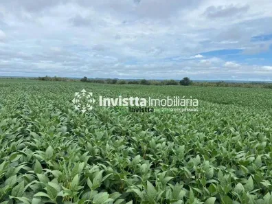 Fazenda/Sítio à venda, 1133m² no , Dois Irmãos do Tocantins