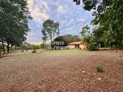 Fazenda/Sítio com 4 Quartos à venda, 5234m² no Condomínio Alto da Boa Vista, Senador Canedo