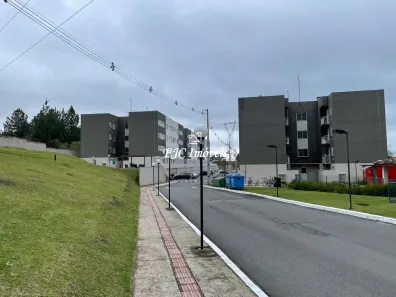 Apartamento com 2 Quartos à venda, 40m² no Lamenha Grande, Almirante Tamandaré