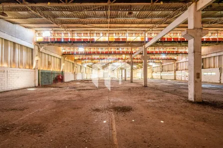 Galpão/Depósito/Armazém para alugar, 3300m² no Jardim São Francisco, Santa Bárbara D'Oeste