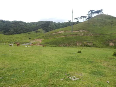 Lote/Terreno à venda, 186507m² no , Bom Retiro