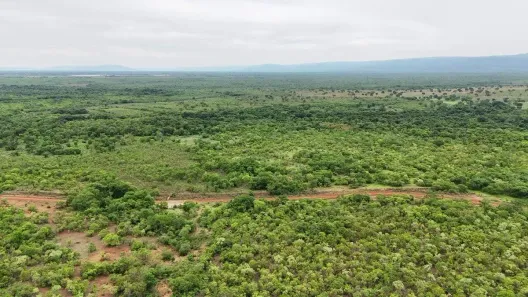 Fazenda/Sítio com 3 Quartos à venda, 100m² no , Flores de Goiás