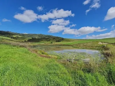 Fazenda/Sítio à venda no , Bom Retiro