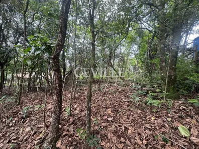 Lote/Terreno à venda, 1000m² no , Brumadinho