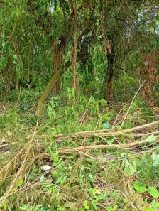 Lote/Terreno à venda, 500m² no Centro (Sambaetiba), Itaboraí