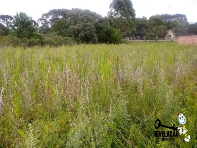 Lote/Terreno à venda, 5100m² no Costeira, São José dos Pinhais