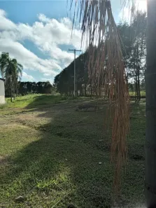 Fazenda/Sítio com 3 Quartos à venda, 600m² no Porangaba, Porangaba