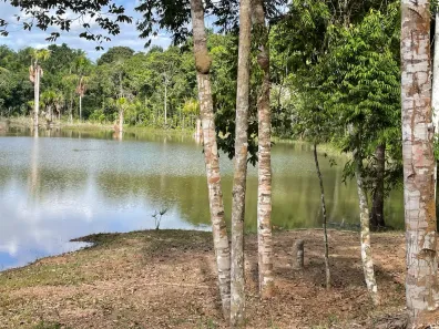 Fazenda/Sítio à venda, 1005m² no Centro, Iranduba