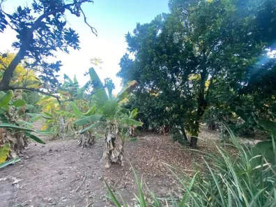 Fazenda/Sítio com 1 Quarto à venda, 1m² no Jardim Florença, Marília