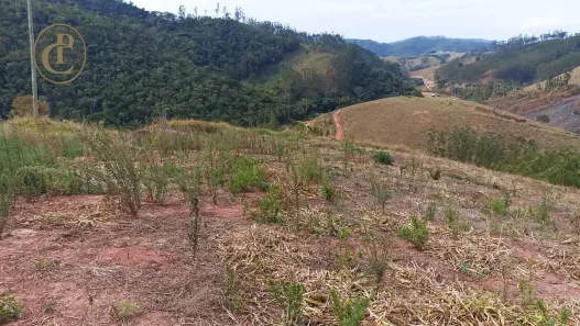 Fazenda/Sítio com 1 Quarto à venda, 100m² no , Paraibuna