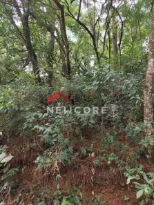 Lote/Terreno à venda, 1084m² no San Fernando Valley, Atibaia