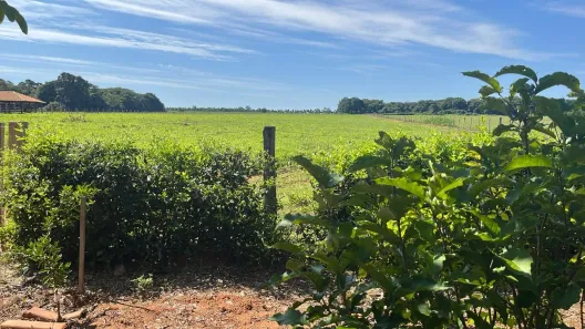 Fazenda/Sítio à venda, 48400m² no Setor Central, Cezarina