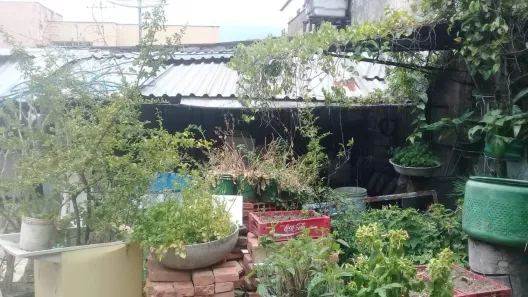 à venda, 511m² no Colégio Batista, Belo Horizonte