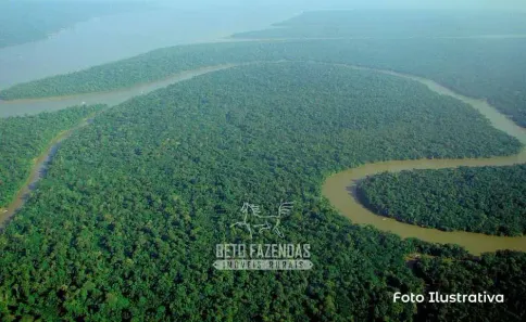 Fazenda/Sítio à venda, 999999999m² no , Tapauá