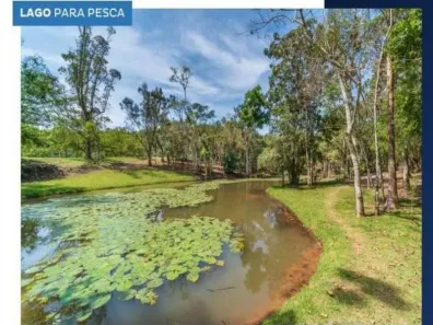 Lote/Terreno à venda, 1047m² no Centro, Camboriú