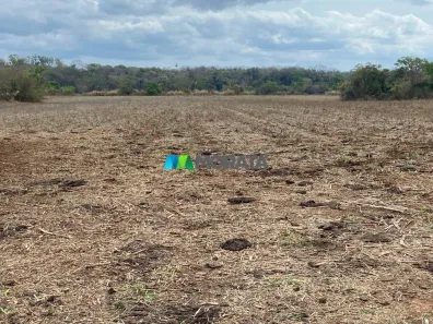 Fazenda/Sítio com 1 Quarto à venda, 101m² no Centro, Curvelo