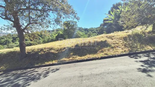 Lote/Terreno à venda, 5586m² no Bosque, Vinhedo