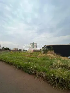 Lote/Terreno à venda, 1155m² no Segismundo Pereira, Uberlândia