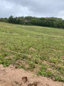 Lote/Terreno à venda, 500m² no Altos de Caucaia (Caucaia do Alto), Cotia