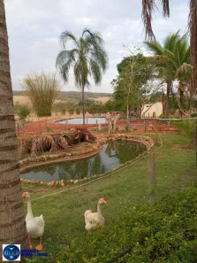 Fazenda/Sítio com 3 Quartos à venda, 24200m² no Vila Santa Tereza I, Terezópolis de Goiás