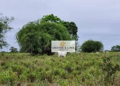 Fazenda/Sítio com 10 Quartos à venda, 1000m² no Centro, Rondonópolis