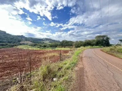 Fazenda/Sítio com 1 Quarto à venda, 20000m² no Conjunto Habitacional Jamile Dequech, Londrina