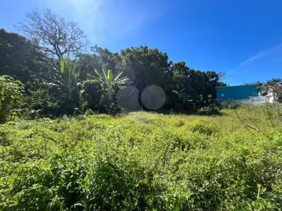 Lote/Terreno à venda, 652m² no Morada da Praia, Bertioga