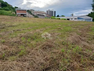 Lote/Terreno à venda, 7125m² no Caminho da Eulália, Bento Gonçalves