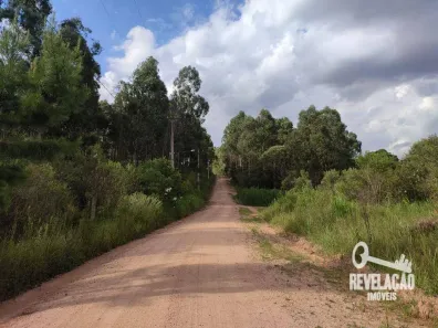 Lote/Terreno à venda, 66142m² no Cachoeira, São José dos Pinhais