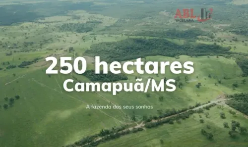 Fazenda/Sítio à venda, 2500000m² no Centro, Camapuã