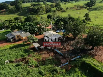 Fazenda/Sítio à venda, 500m² no , Petrolina de Goiás