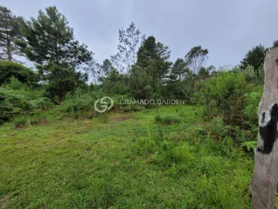 Fazenda/Sítio com 1 Quarto à venda, 5000m² no Campestre do Tigre, Nova Petrópolis