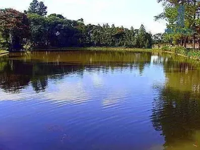 Lote/Terreno à venda, 1160m² no Vila Hollândia, Campinas