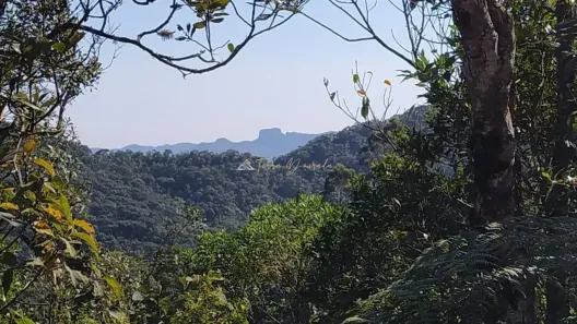 Lote/Terreno à venda, 1331m² no , Monteiro Lobato