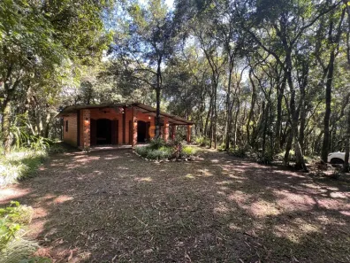 Fazenda/Sítio com 2 Quartos à venda, 100m² no Centro, Balsa Nova