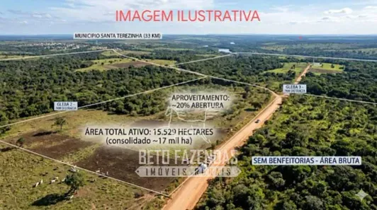 Fazenda/Sítio à venda, 170000000m² no , Santa Terezinha