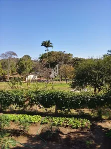 Fazenda/Sítio com 3 Quartos à venda, 400m² no Iate Clube de Campinas, Americana