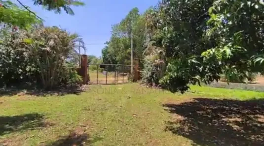 Fazenda/Sítio com 4 Quartos à venda, 200m² no Área Rural de Guatapará, Guatapará