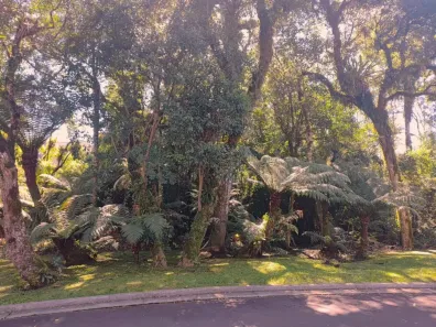 Lote/Terreno à venda, 1174m² no Lagos do Bosque, Gramado