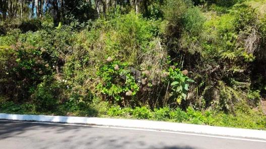 Lote/Terreno à venda, 625m² no Carazal, Gramado