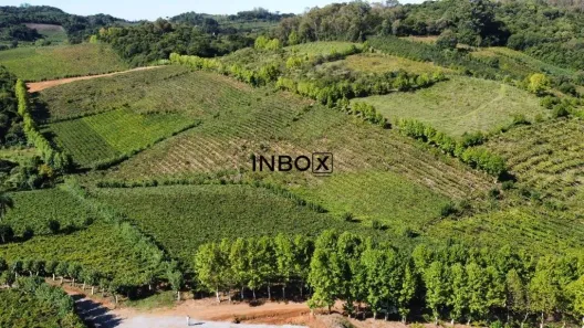 Lote/Terreno à venda, 12m² no Vale dos Vinhedos, Bento Gonçalves