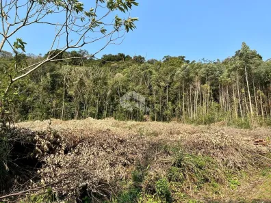 Fazenda/Sítio à venda, 31272m² no Dos Boêmios, Nova Petrópolis
