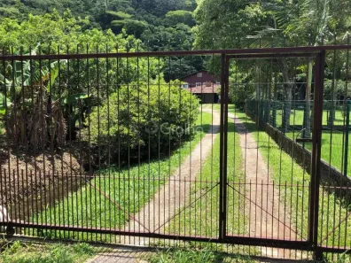 Lote/Terreno à venda, 19380m² no Pântano do Sul, Florianópolis