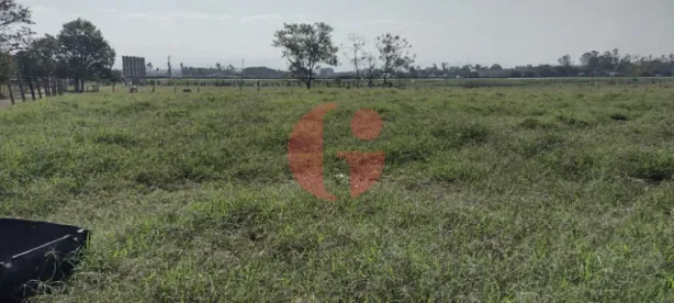 Fazenda/Sítio com 4 Quartos à venda, 2000m² no Residencial Comercial Cidade Vista Alegre, Pindamonhangaba