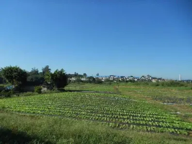Lote/Terreno à venda, 61679m² no Parque Recanto Mônica, Itaquaquecetuba