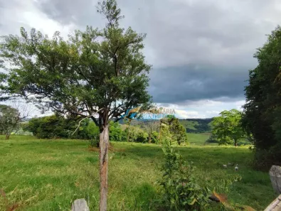 Fazenda/Sítio com 2 Quartos à venda, 400m² no , Guaraniaçu
