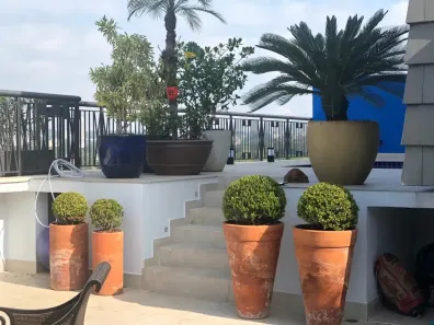 Cobertura com 3 Quartos à venda, 396m² no Alto de Pinheiros, São Paulo