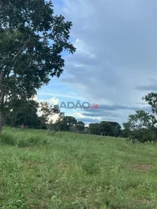 Fazenda/Sítio à venda, 5000m² no , Uruaçu