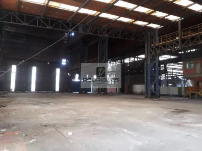 Galpão/Depósito/Armazém para alugar, 3600m² no Vila Água Funda, São Paulo