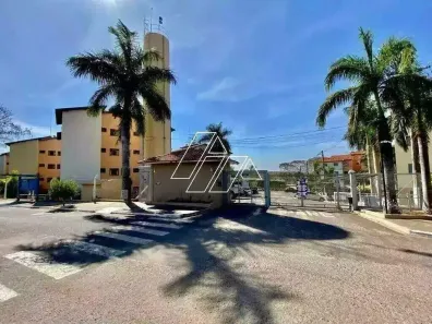 Apartamento com 2 Quartos para alugar, 45m² no Jardim Lavínia, Marília